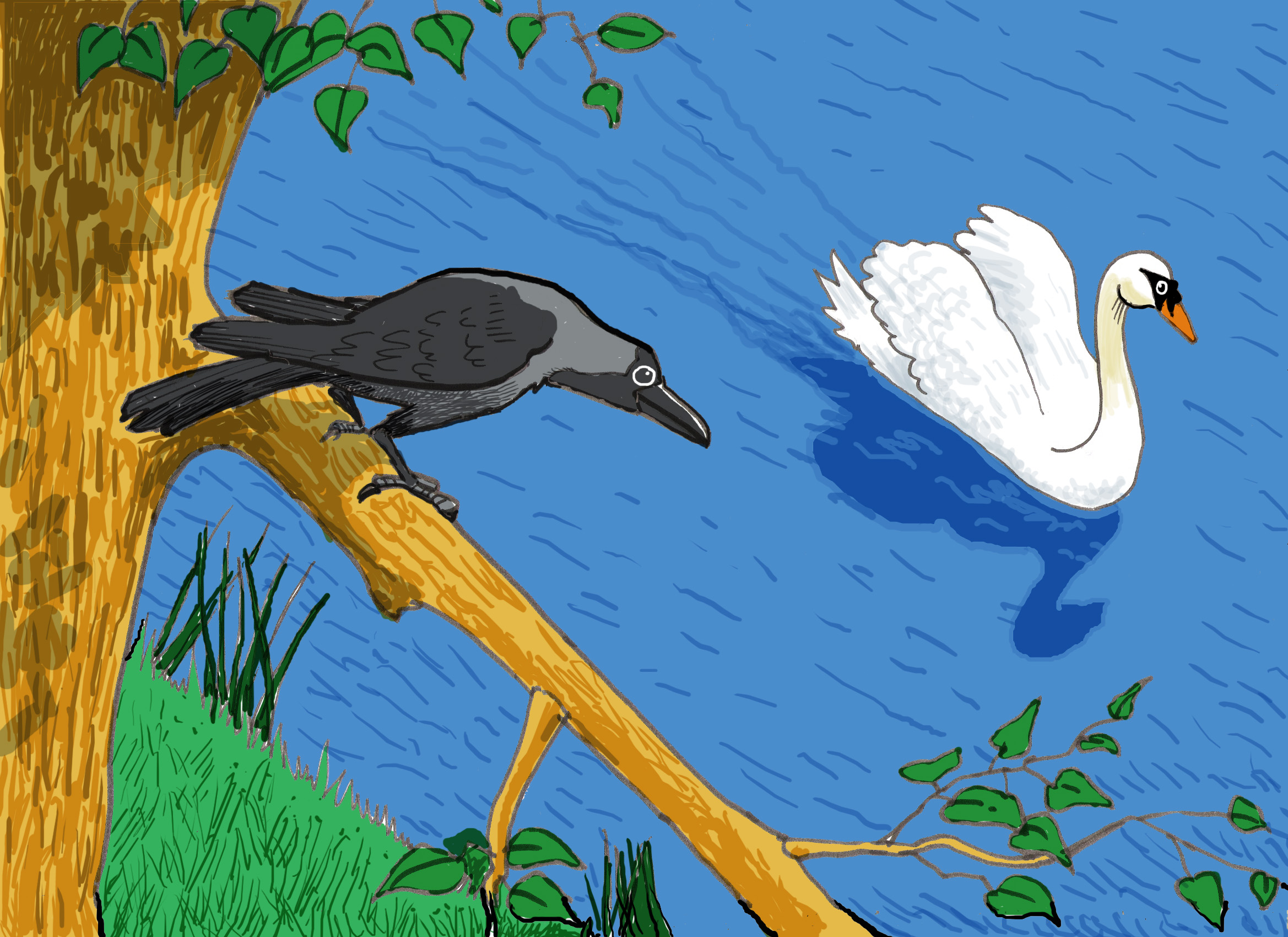swan