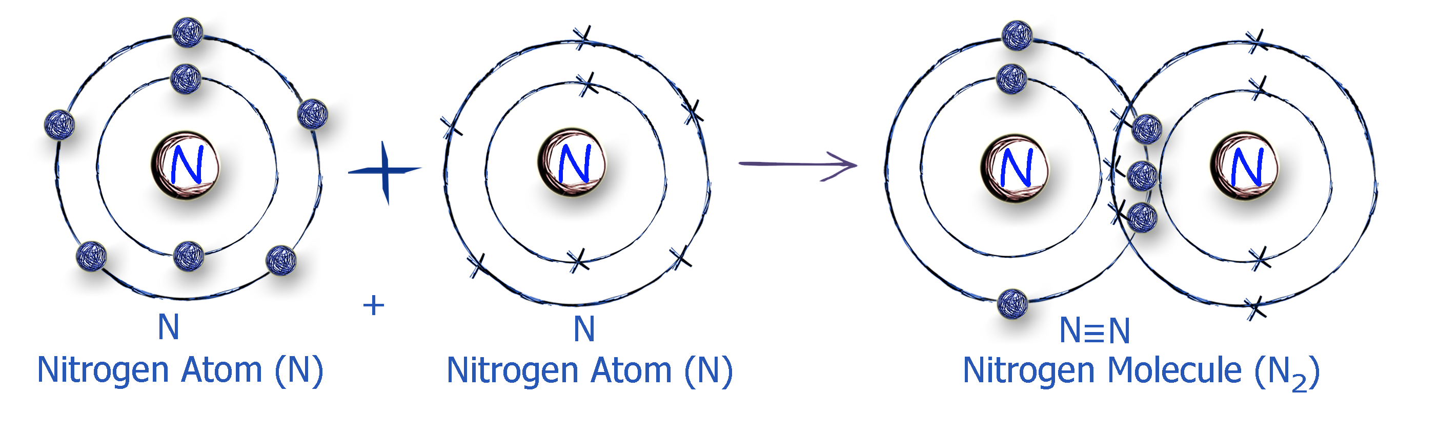 N