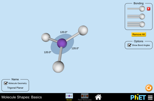 Molecule Shapes: Basics Screenshot